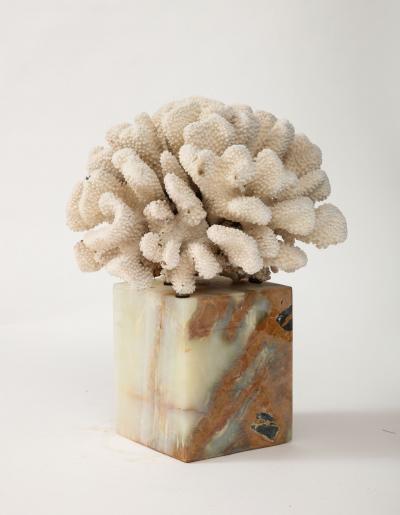 White Coral Sculpture on Marble Base