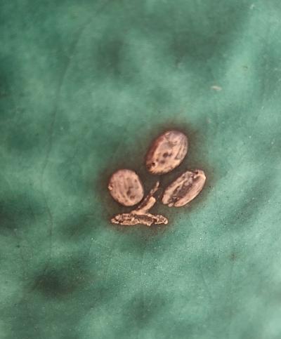 Wilhelm K ge Wilhelm K ge Argenta Stoneware Vase Sweden