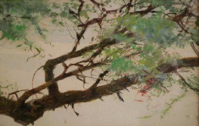 Wilhelm Kuhnert Nialas at rest