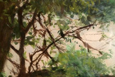 Wilhelm Kuhnert Nialas at rest