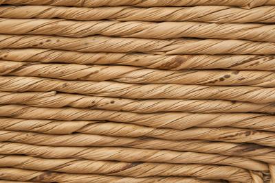 Willi Ohler Pair of Wicker Armchairs by Willi Ohler Germany First half of the 20th Century