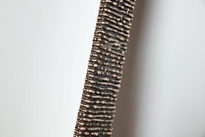 William Emmerson Elongated Molten Mirror by William Emmerson