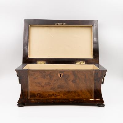 William IV Dome Top Bomb Box in Burl Walnut with Boxwood Stringing