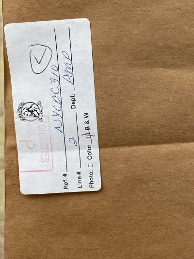 William Jurian Kaula Summertime 