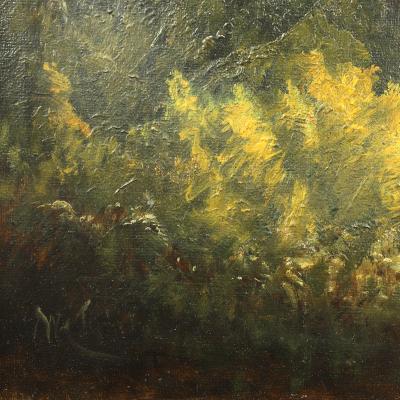 William Richardson Tyler William Richardson Tyler 1825 1896 Lived Active New York New Hampshire