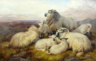 William Watson Victorian Oil On Canvas Of Sheep By William Watson