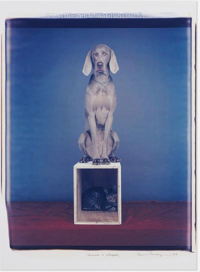 William Wegman Polaroid Church Steeple Dog and Cat Large Format Polaroid