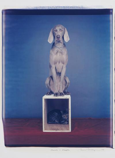 William Wegman Polaroid Church Steeple Dog and Cat Large Format Polaroid