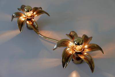 Willy Daro Mid Century Modern Ceiling Fixture or Wall Lamp by Willy Daro for Massive 1970s