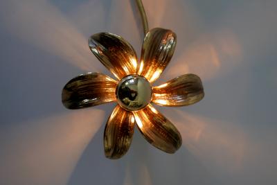 Willy Daro Mid Century Modern Ceiling Fixture or Wall Lamp by Willy Daro for Massive 1970s
