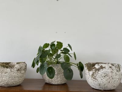 Willy Guhl CONCRETE FOUNDRY POTS