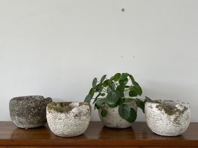 Willy Guhl CONCRETE FOUNDRY POTS