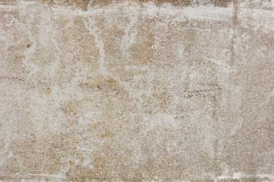 Willy Guhl LARGE RECTANGULAR WILLY GUHL PLANTERS