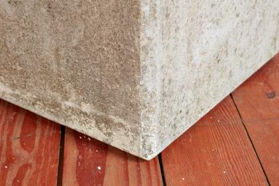 Willy Guhl LARGE RECTANGULAR WILLY GUHL PLANTERS