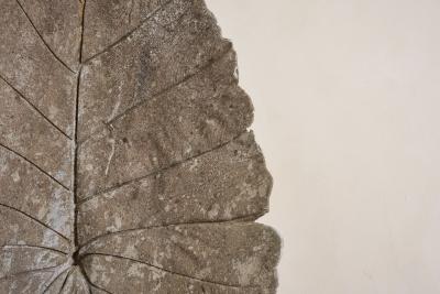 Willy Guhl Large Concrete Leaf in the style of Willy Guhl