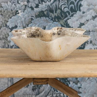Willy Guhl Midcentury Swiss Willy Guhl Clam Shell Planter