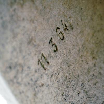 Willy Guhl SET OF 3 LOOP WILLY GUHL SLIPPER CHAIRS 1964 