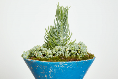 Willy Guhl WILLY GUHL HOURGLASS POTS