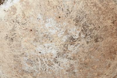 Willy Guhl WILLY GUHL LOW PLANTERS