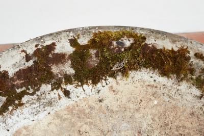 Willy Guhl WILLY GUHL LOW PLANTERS