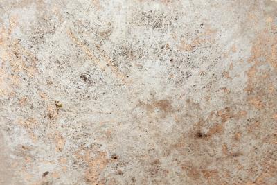 Willy Guhl WILLY GUHL LOW PLANTERS