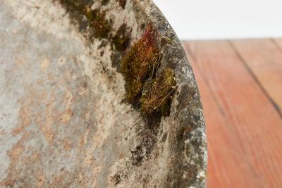 Willy Guhl WILLY GUHL LOW PLANTERS