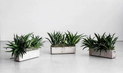 Willy Guhl WILLY GUHL PLANTERS