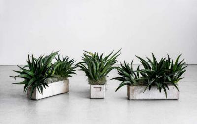 Willy Guhl WILLY GUHL PLANTERS