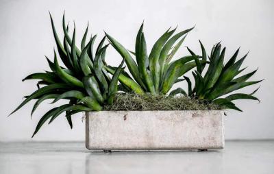 Willy Guhl WILLY GUHL PLANTERS