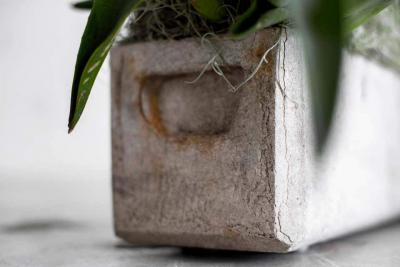 Willy Guhl WILLY GUHL PLANTERS