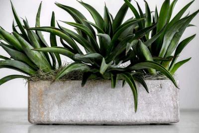 Willy Guhl WILLY GUHL PLANTERS