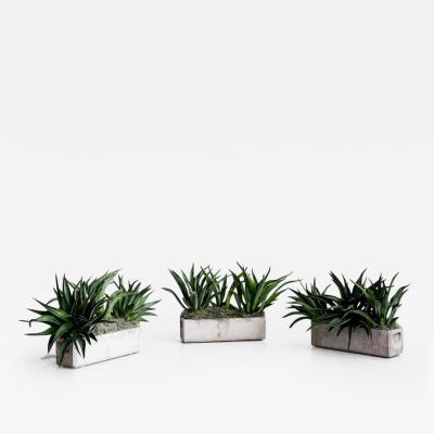 Willy Guhl WILLY GUHL PLANTERS