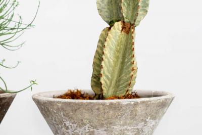 Willy Guhl WILLY GUHL PLANTERS