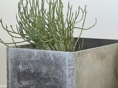 Willy Guhl WILLY GUHL PLANTERS