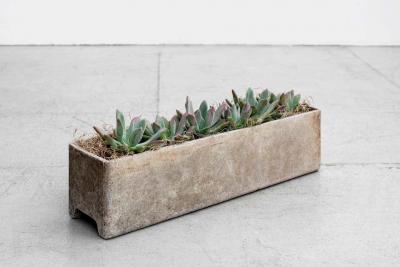 Willy Guhl WILLY GUHL RECTANGULAR PLANTER