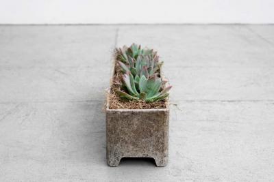 Willy Guhl WILLY GUHL RECTANGULAR PLANTER