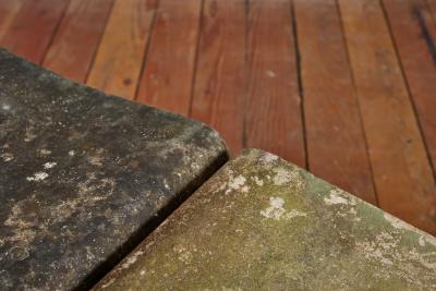 Willy Guhl Willy Guhl Table