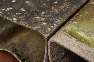 Willy Guhl Willy Guhl Table