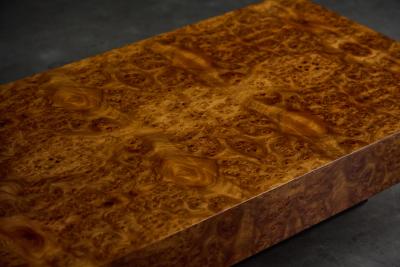 Willy Rizzo Burlwood Coffee Table in the Style of Willy Rizzo Italy 1970s