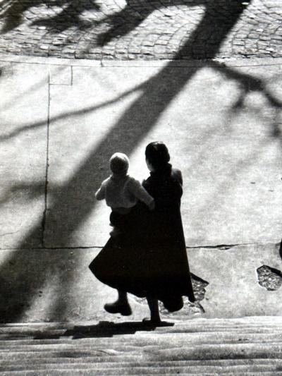 Willy Ronis Framed Photograph Avenue Simon Bolivar Paris by Willy Ronis
