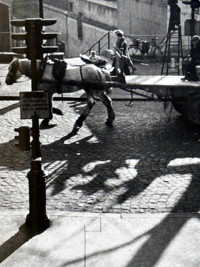 Willy Ronis Framed Photograph Avenue Simon Bolivar Paris by Willy Ronis