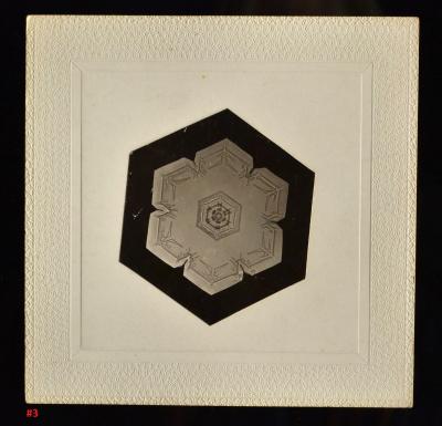 Wilson Bentley Snowflakes by Wilson Bentley 1865 1931 