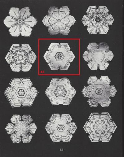 Wilson Bentley Snowflakes by Wilson Bentley 1865 1931 