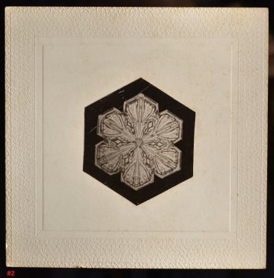 Wilson Bentley Snowflakes by Wilson Bentley 1865 1931 