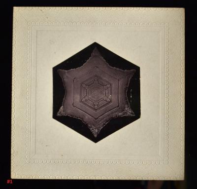 Wilson Bentley Snowflakes by Wilson Bentley 1865 1931 