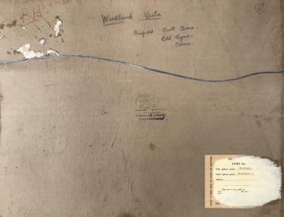 Winfield Scott Clime Woodland Vista 