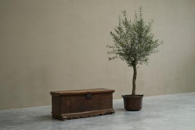 Wonderful Early 18th Century Chest in Oak and Wrought Iron