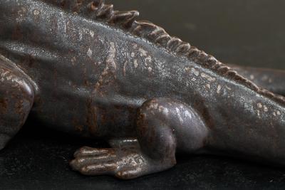 Wonderful Glazed Studio Pottery Iguana 1960s