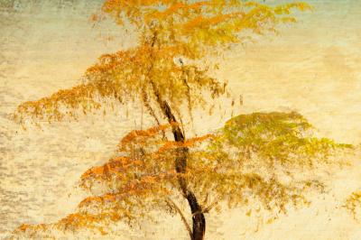 Wood Frame Mid 20th Century Oil Board Painting