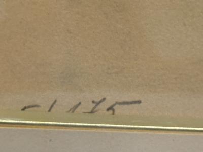 YVES BRAYER WILD HORSES IN CAMARGUE IN PROVENCE SIGNED LITHOGRAPH